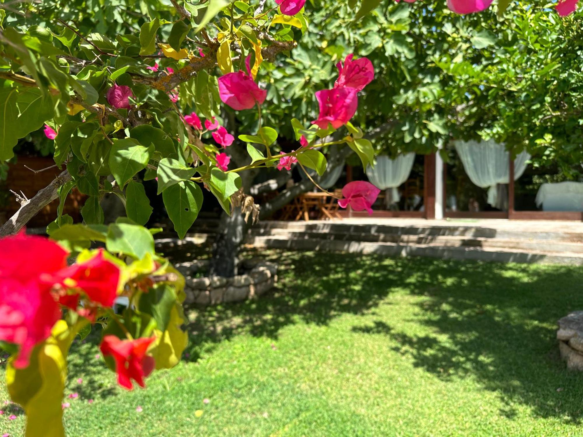 Villa Niloan Olbia Exteriör bild