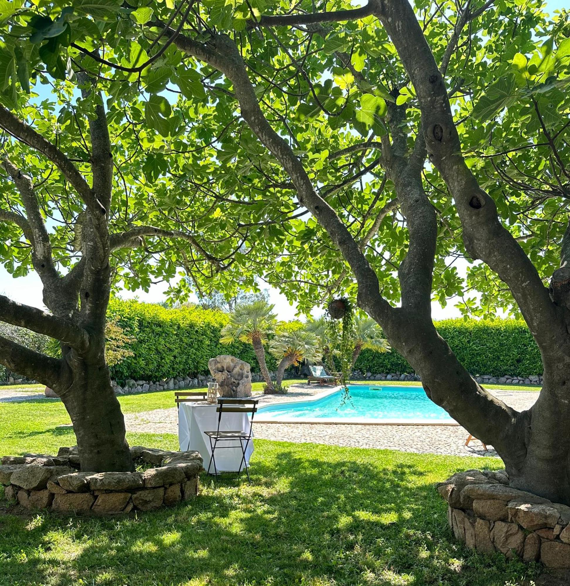 Villa Niloan Olbia Exteriör bild