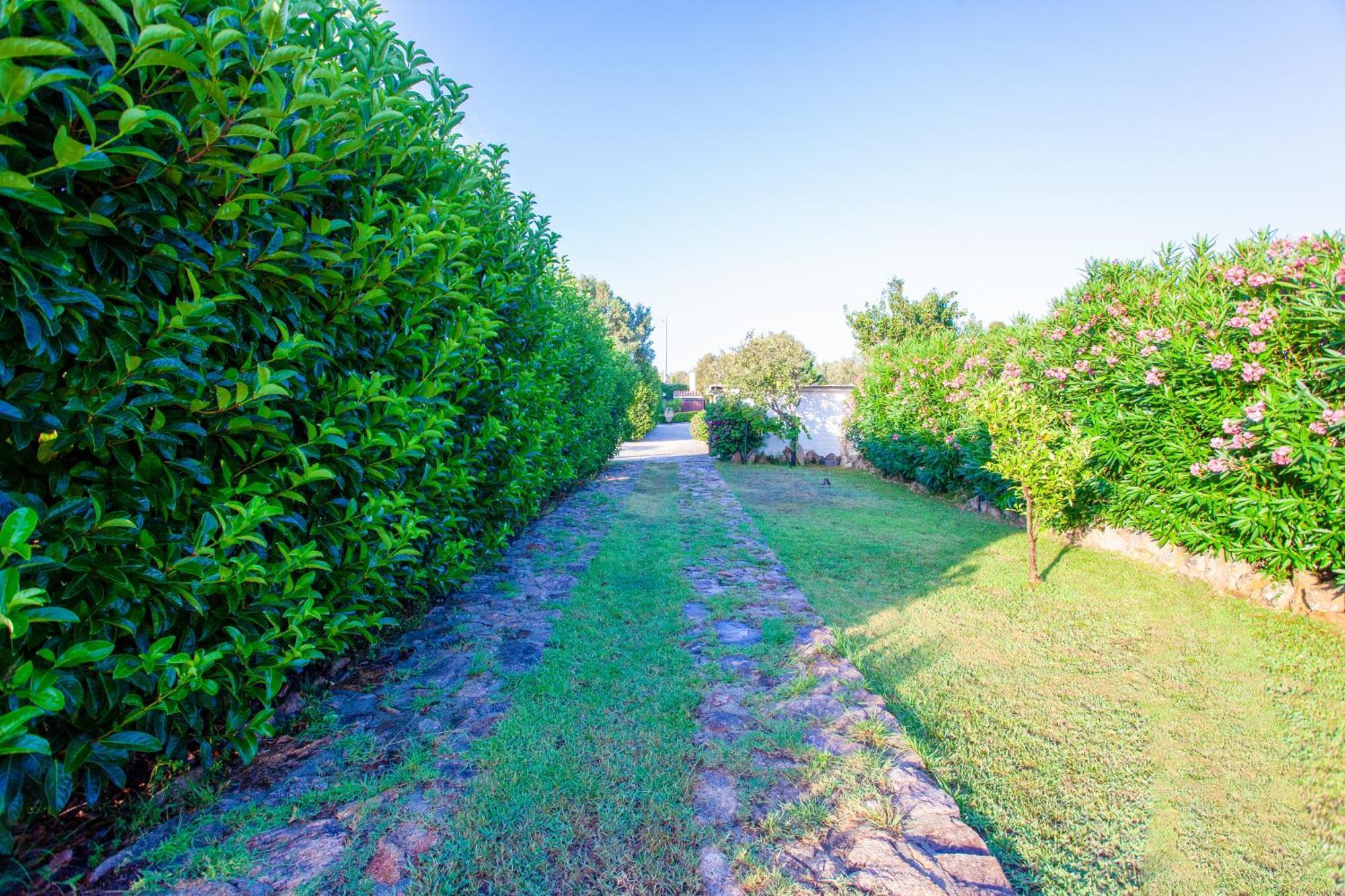 Villa Niloan Olbia Exteriör bild
